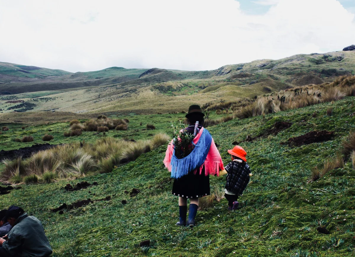 Imagen de portada de «Guardianes del territorio: Las comunidades que protegen las montañas».