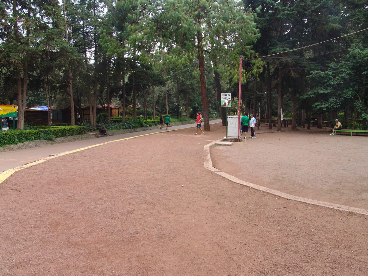 Imagen de portada de «Atacan a corredora en Bosque de Tlalpan. Convocan a manifestación sábado 8am».