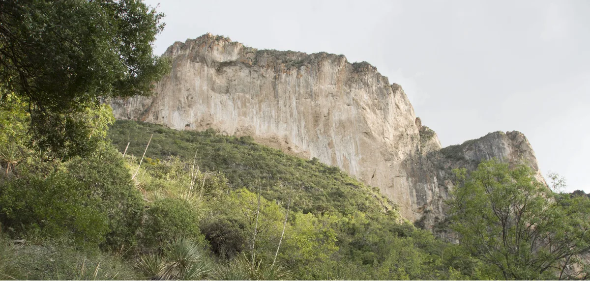 Imagen de portada de «San Lorenzo Trail Marathon celebra su 3ra edición con invitados de lujo».