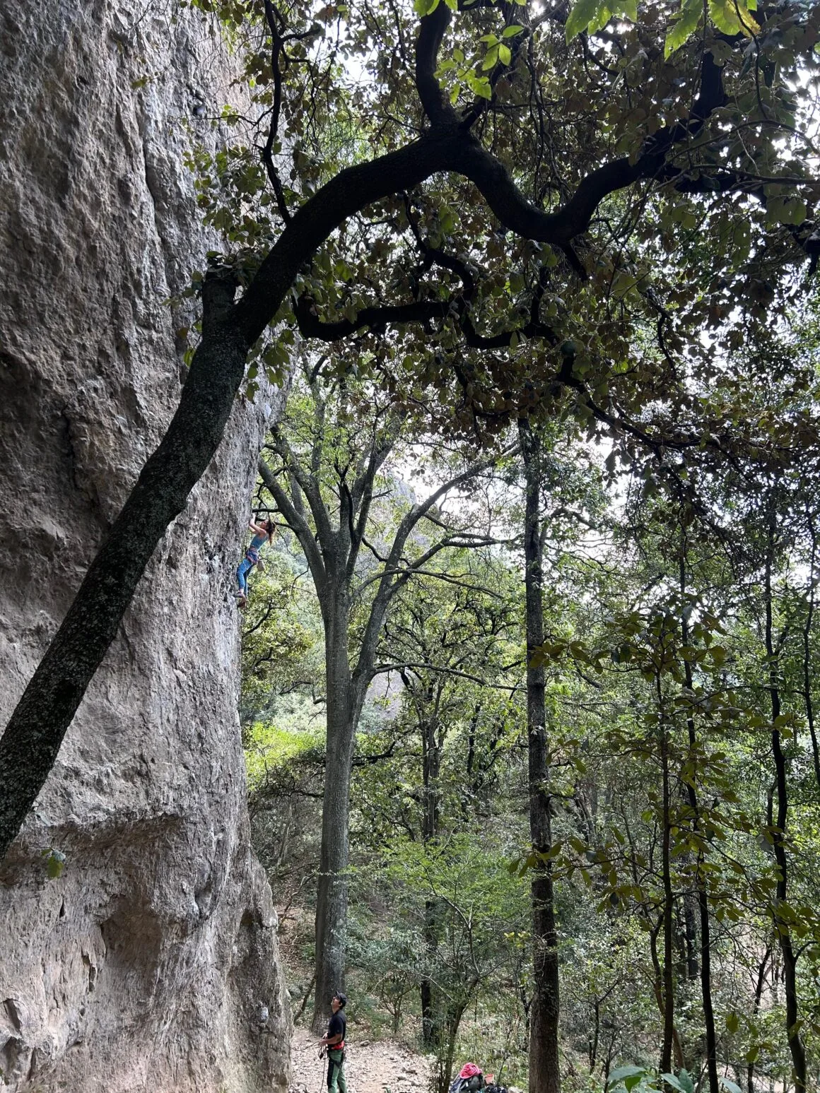 Imagen del archivo de «3 de mayo en Jilotepec (Peñas): acceso cerrado a escaladores».