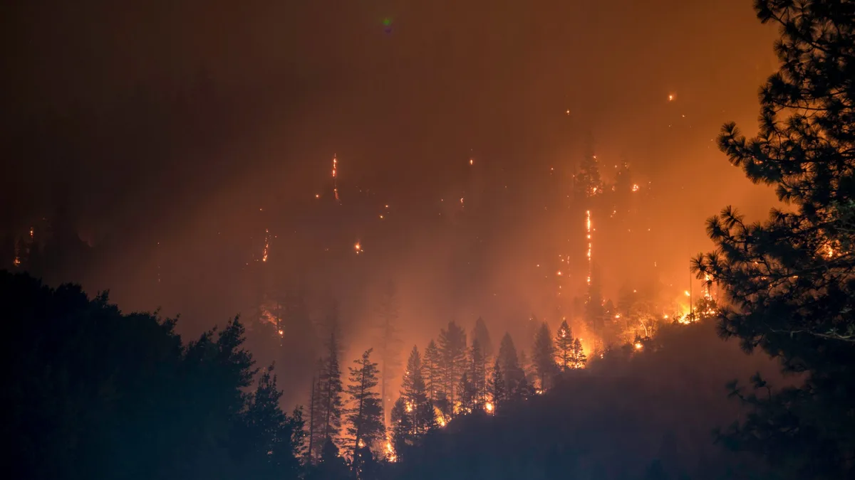 Imagen de portada de «Incendios forestales en México: los deportistas outdoor también debemos actuar».