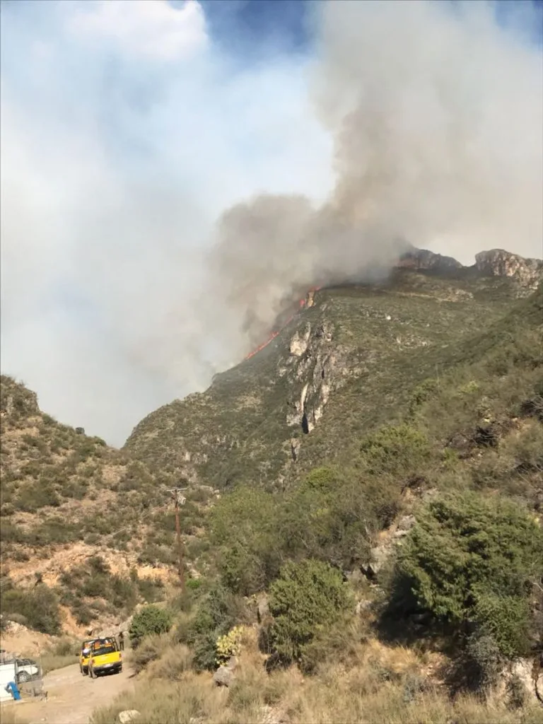 Imagen del archivo de «Incendio provocado arrasa con 400ha de la Sierra de Zapalinamé, Coahuila».