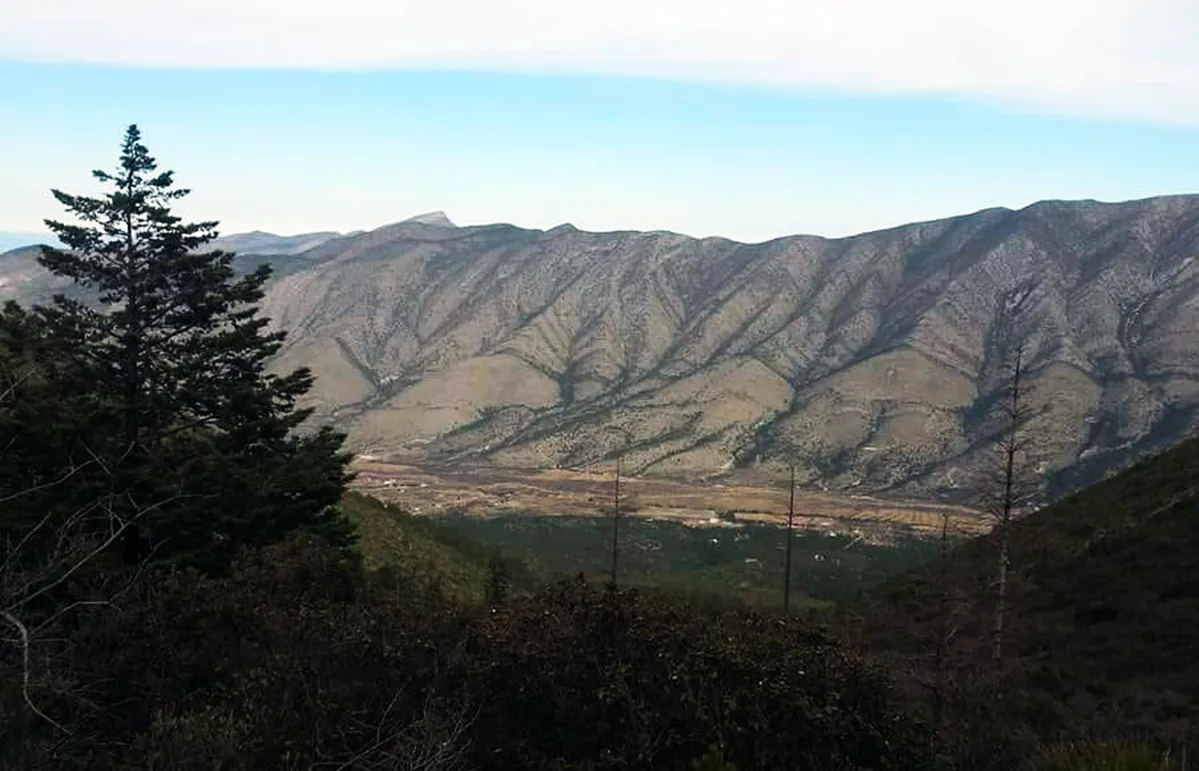 Imagen de portada de «¿Quién impondrá un nuevo FKT en Arteaga? Llega Las Nieves Mountain Race».