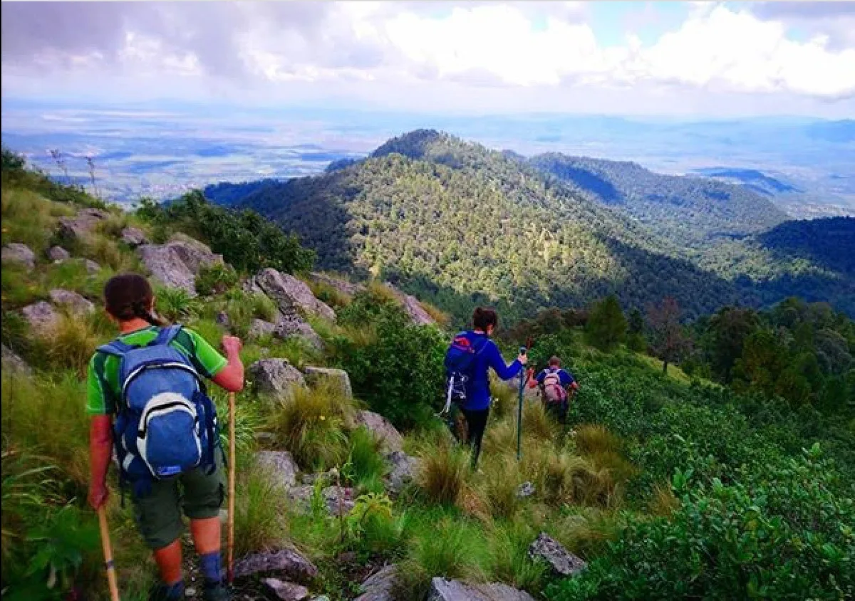 Imagen del archivo de «Top 15 de lugares para correr Trail en México, por Santiago Carsolio».