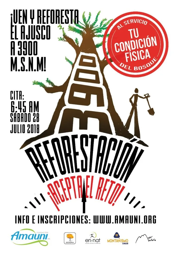 Imagen del archivo de «Reforestación Ajusco 3900 msnm: Únete a la solución este 28 de julio».