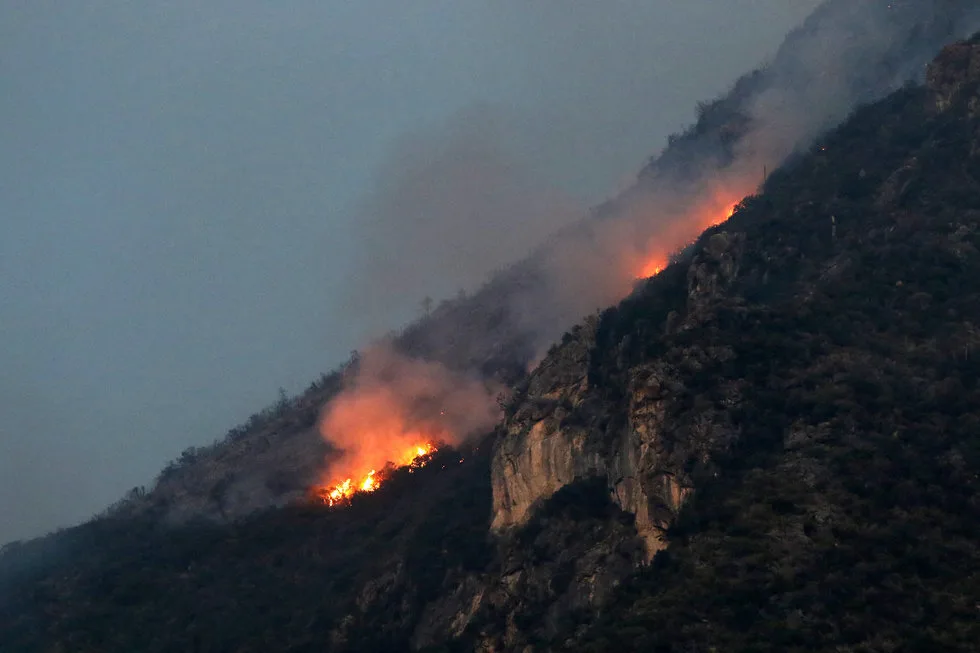 Imagen de portada de «Incendio provocado arrasa con 400ha de la Sierra de Zapalinamé, Coahuila».