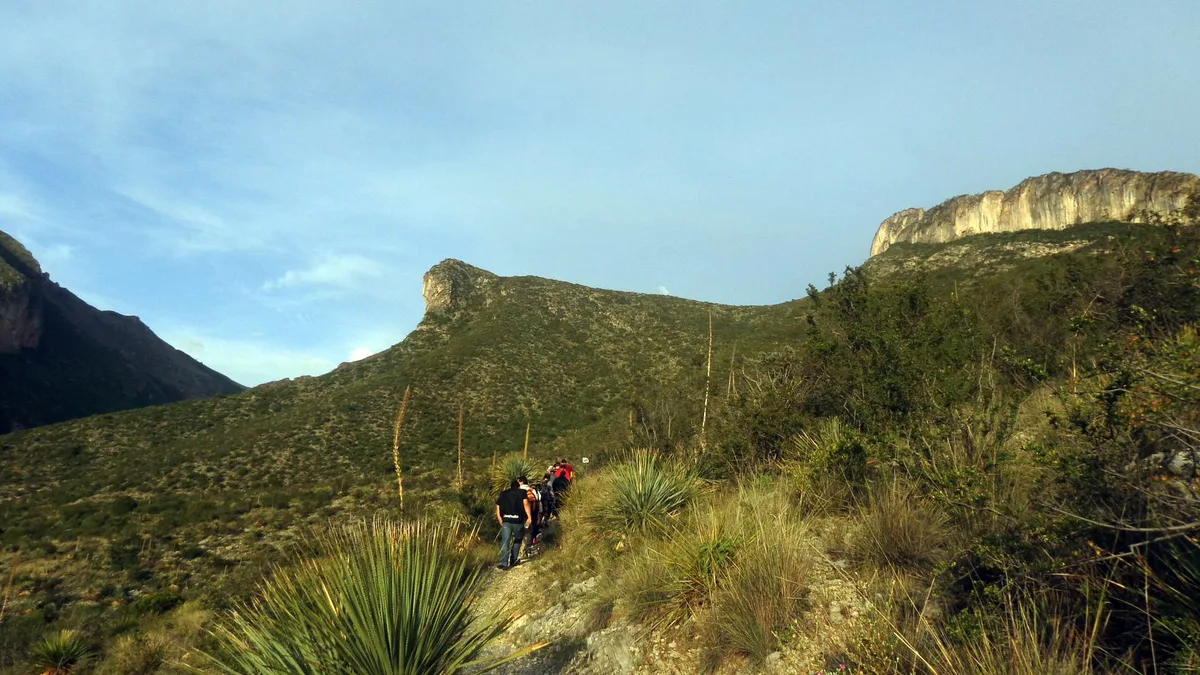 Imagen de portada de «La Feria Trail Running Norte: carrera en pro de la Sierra de Zapalinamé».