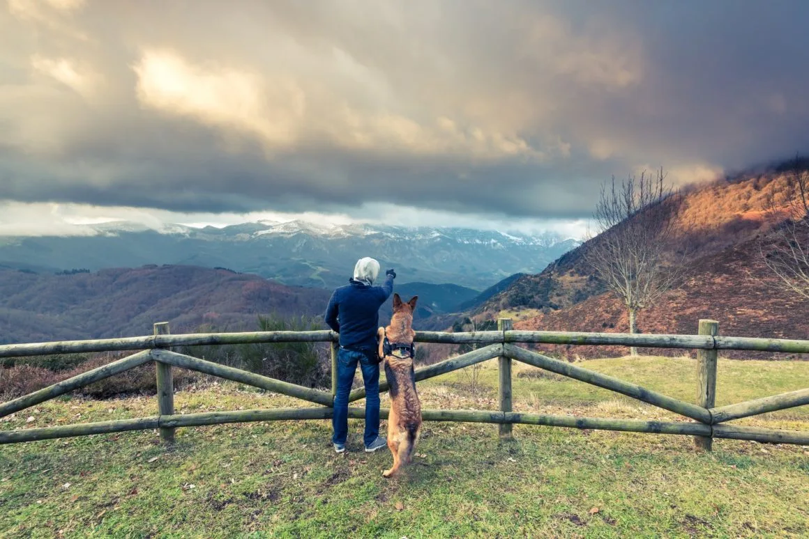 Man and dog admiring view in mountains