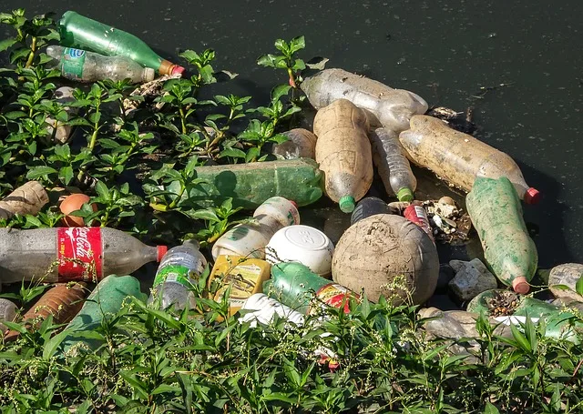 Imagen del archivo de «Mochilas sin basura: no solo es traerla de vuelta, es no generarla».