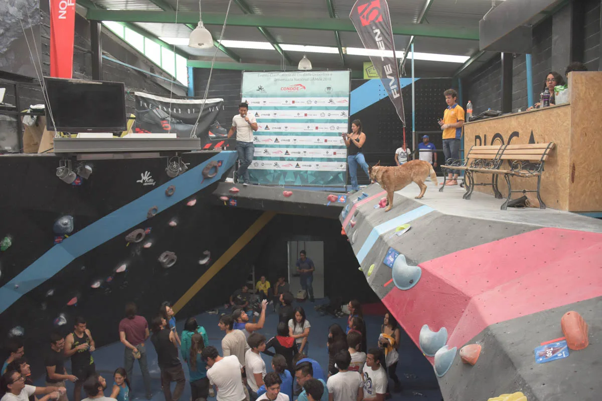 Imagen del archivo de «Resultados clasificatorio a #Universiada18: un nuevo top para la escalada».