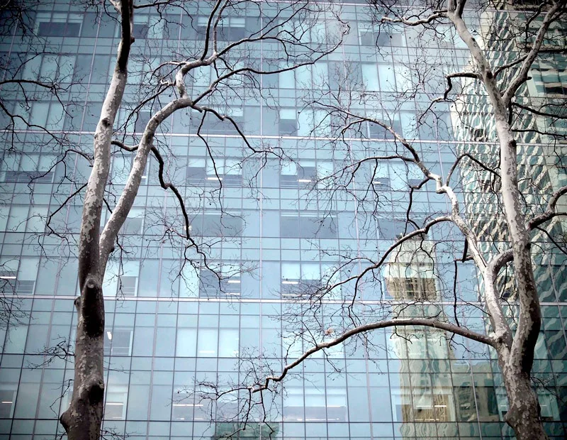 Tree3