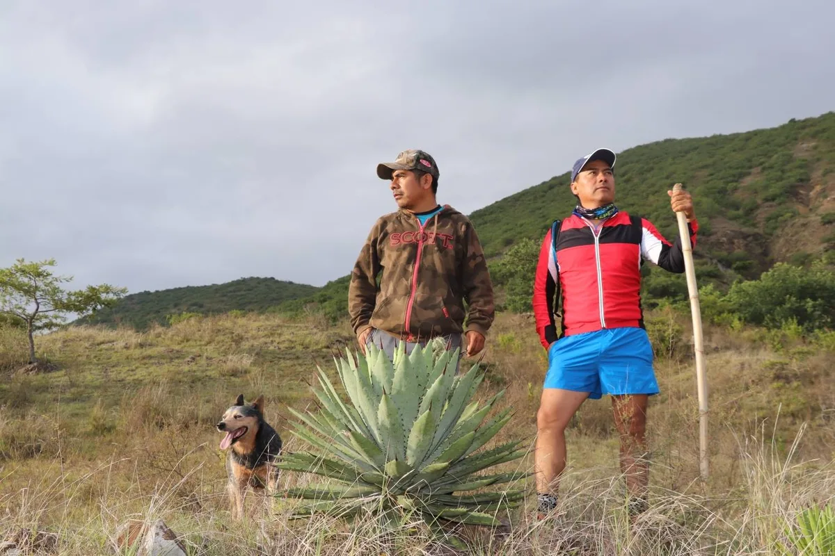 Imagen de portada de «No te pierdas: Tepeztate Trail Running, 19 de agosto, San Pablo Güila, Oaxaca».