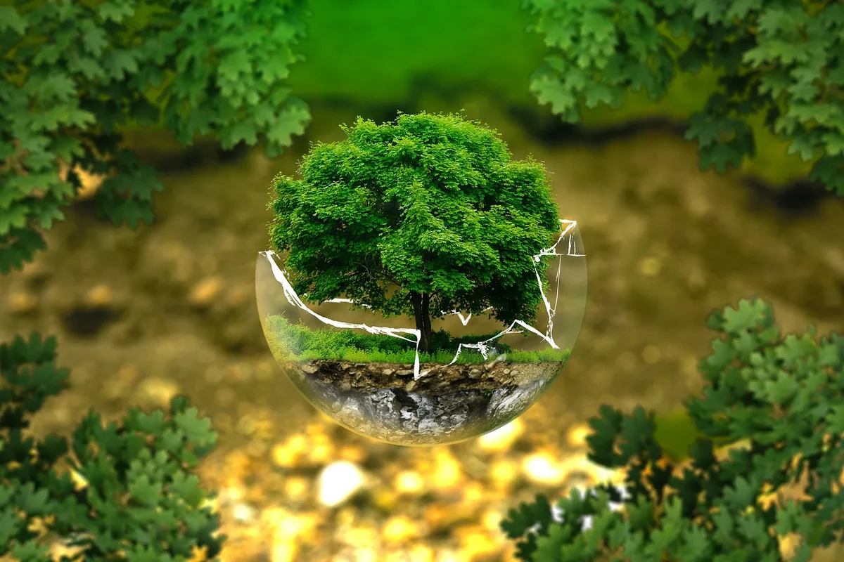 Imagen de portada de «Participa: Estudio Nacional sobre Percepción Ambiental de la UANL».