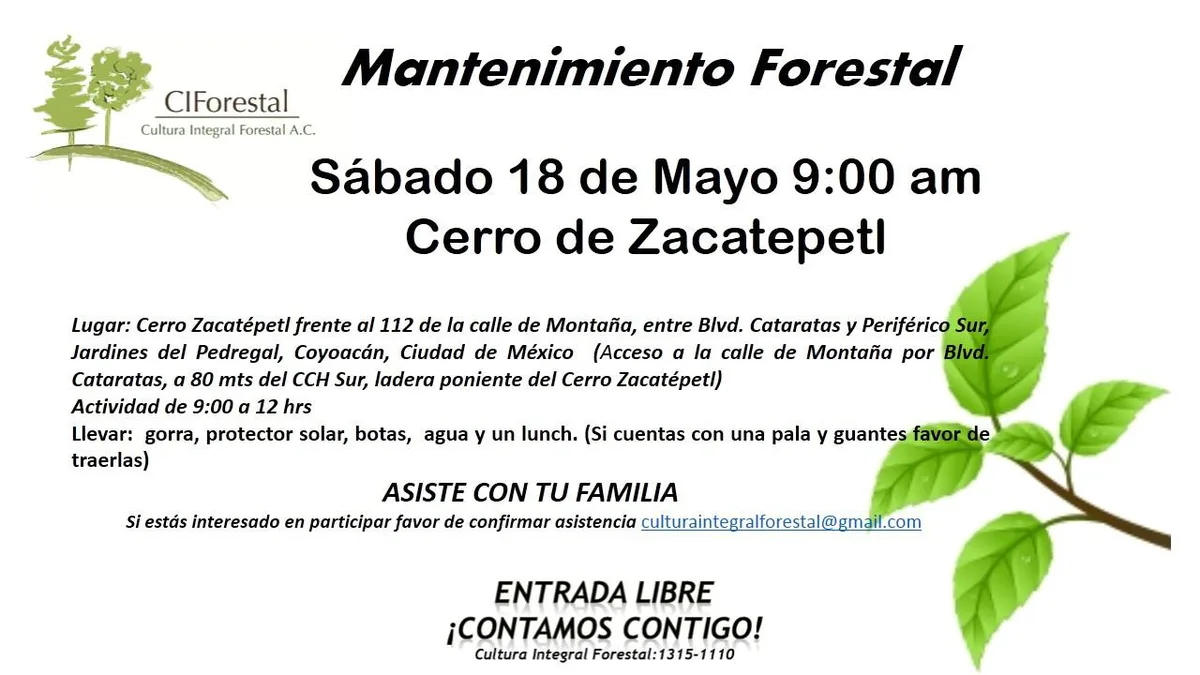 Imagen del archivo de «Participa: Jornada de mantenimiento forestal en Cerro Zacatépetl, 18 Mayo».