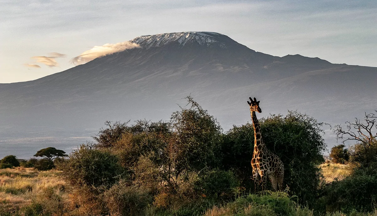 Imagen de portada de «Kilimanjaro: historia, leyendas y hielo que desaparece».