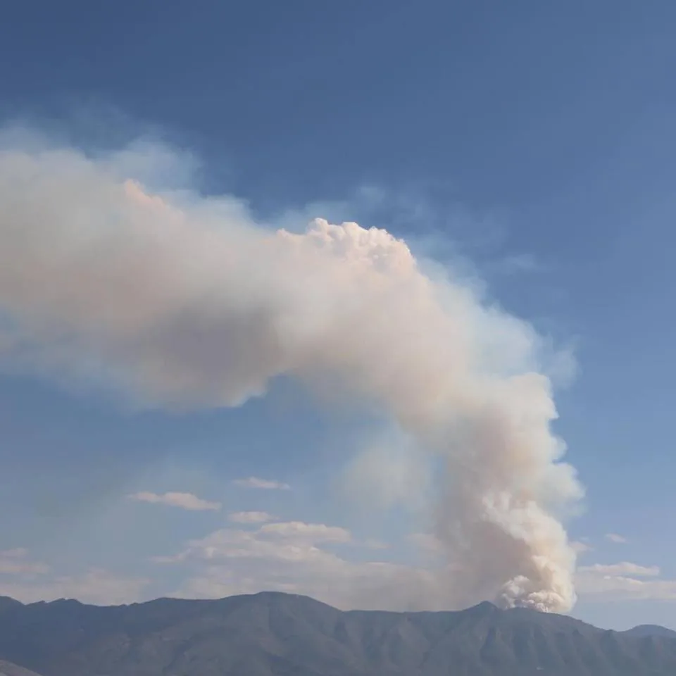 Imagen del archivo de «Incendio provocado arrasa con 400ha de la Sierra de Zapalinamé, Coahuila».