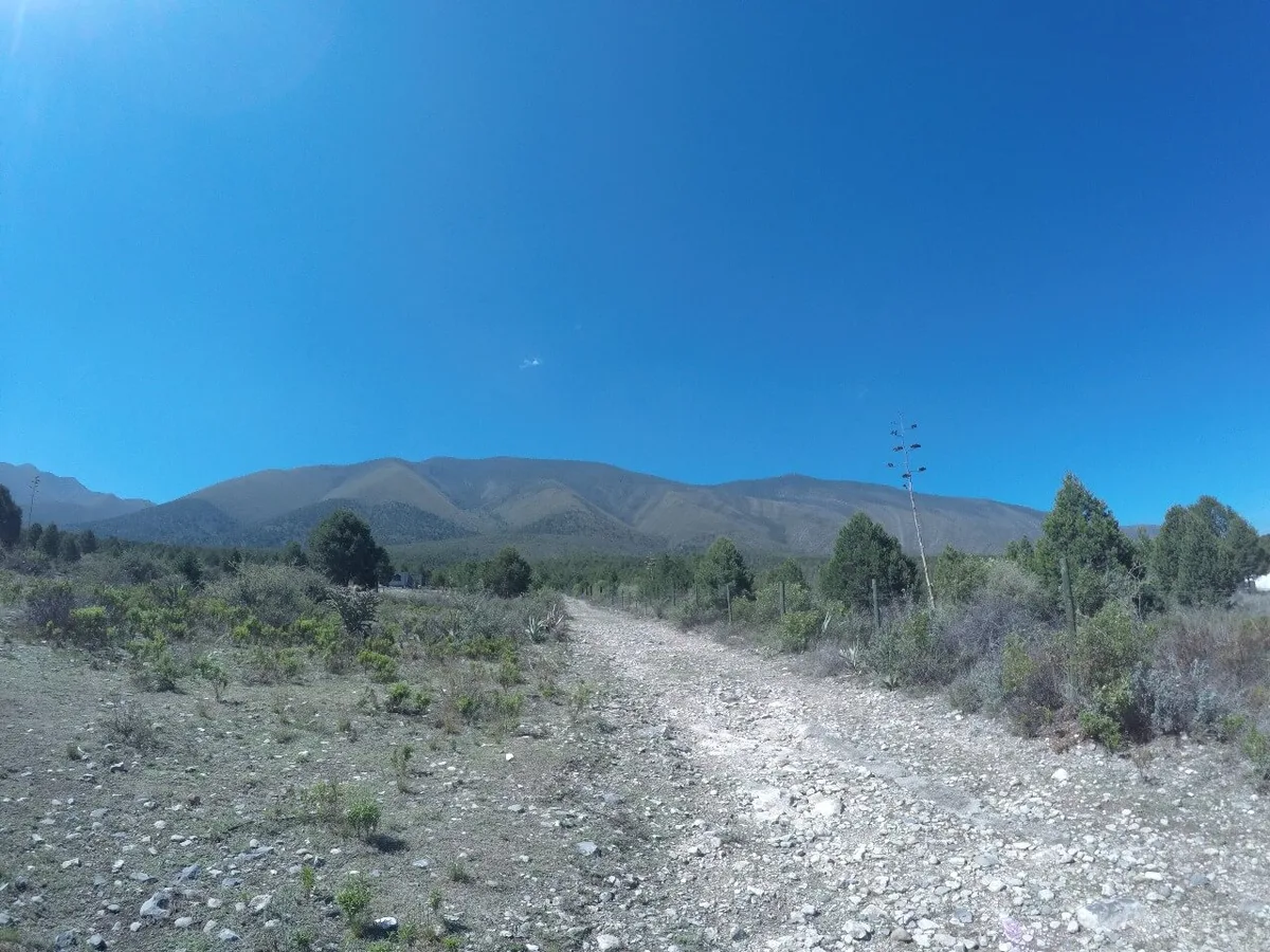 Imagen del archivo de «¿Quién impondrá un nuevo FKT en Arteaga? Llega Las Nieves Mountain Race».