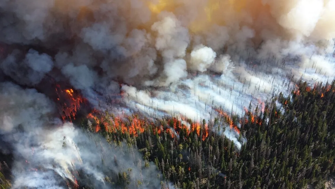 Imagen del archivo de «52 incendios forestales activos, 5 en áreas Naturales Protegidas».