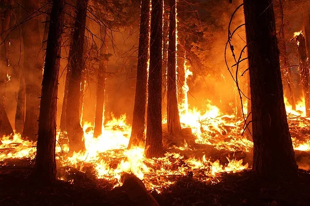 Imagen del archivo de «Hacer fogatas sin incendiar la montaña: consejos y recomendaciones».