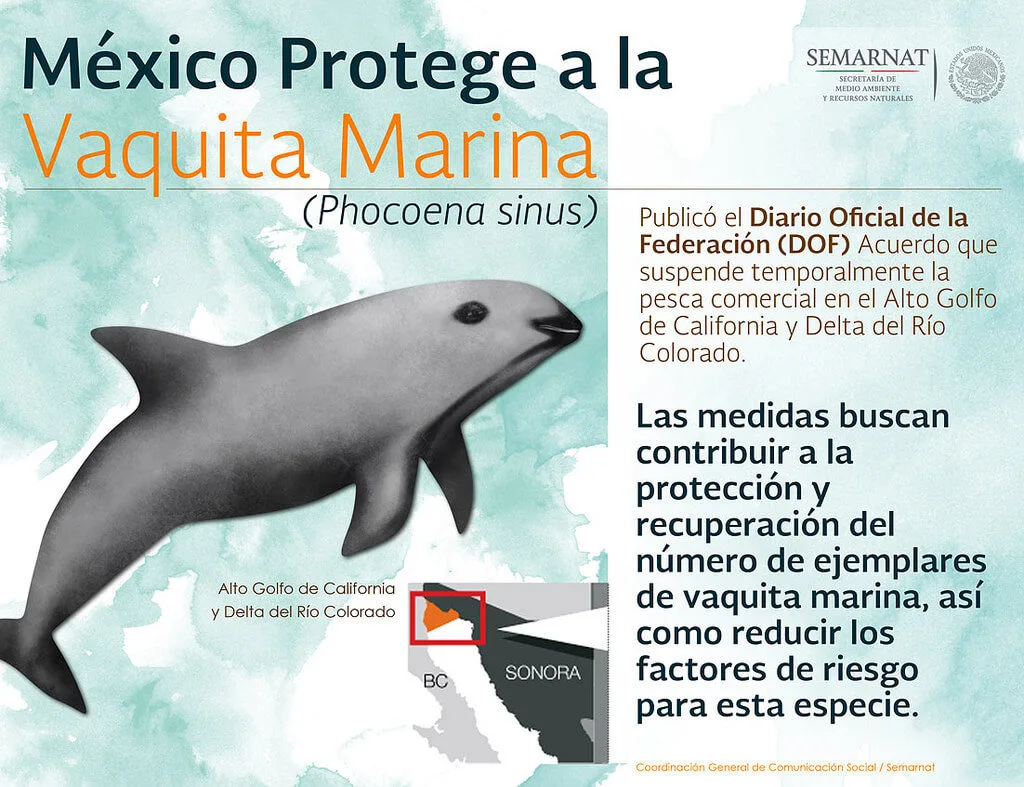 Imagen del archivo de «Desiertos los mares: gobierno convoca a pescar tiburón blanco en Oaxaca».