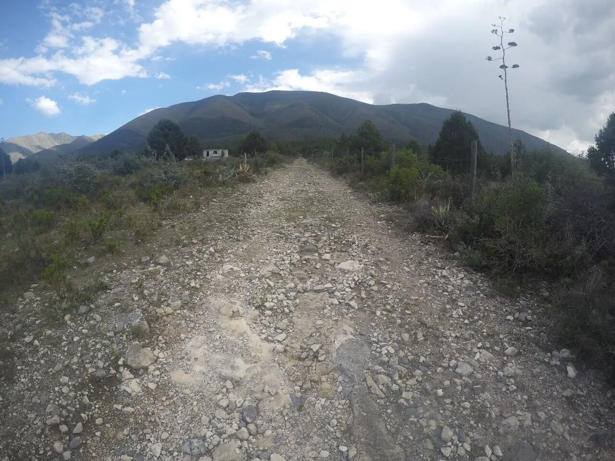 Imagen del archivo de «¿Quién impondrá un nuevo FKT en Arteaga? Llega Las Nieves Mountain Race».