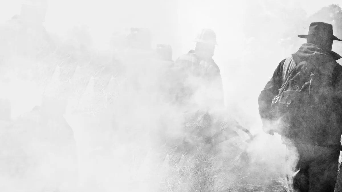 Imagen de portada de «Reforestación Inteligente: ¿Qué hacer después de un incendio en las montañas?».