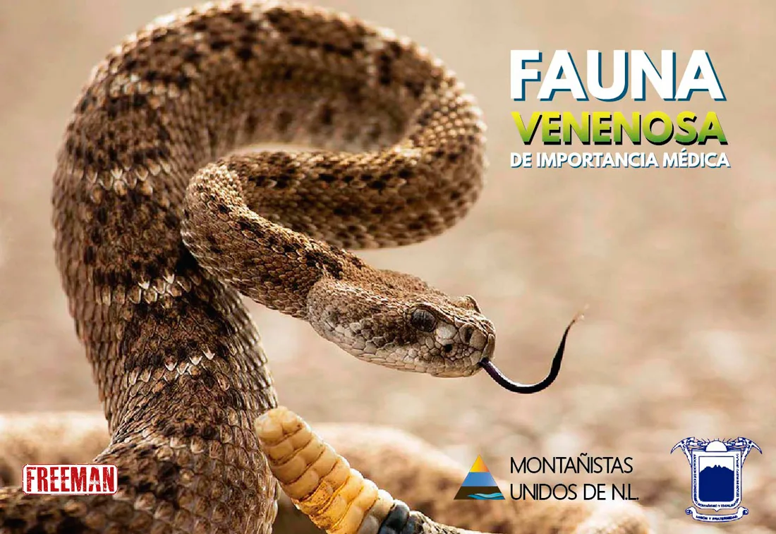 Imagen del archivo de «Conferencia: Fauna venenosa en los deportes outdoors, ¿cómo actuar y prevenir?».