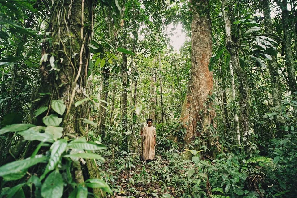 Imagen del archivo de «Pacha Kuti: The Golden Path, documental de Reed Rickert que rinde homenaje a la Tierra».