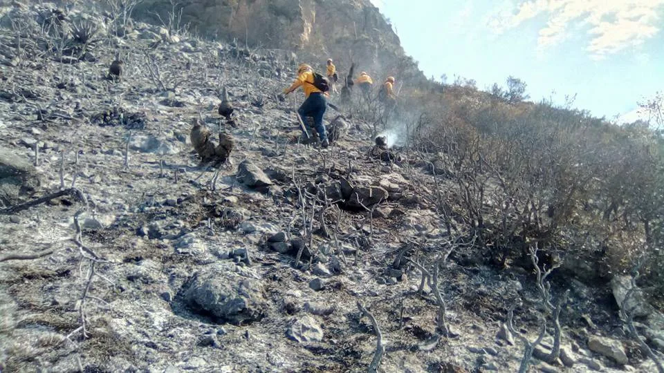 Imagen de portada de «Actualización: La Sierra de Zapalinamé reducida a cenizas, 450ha».