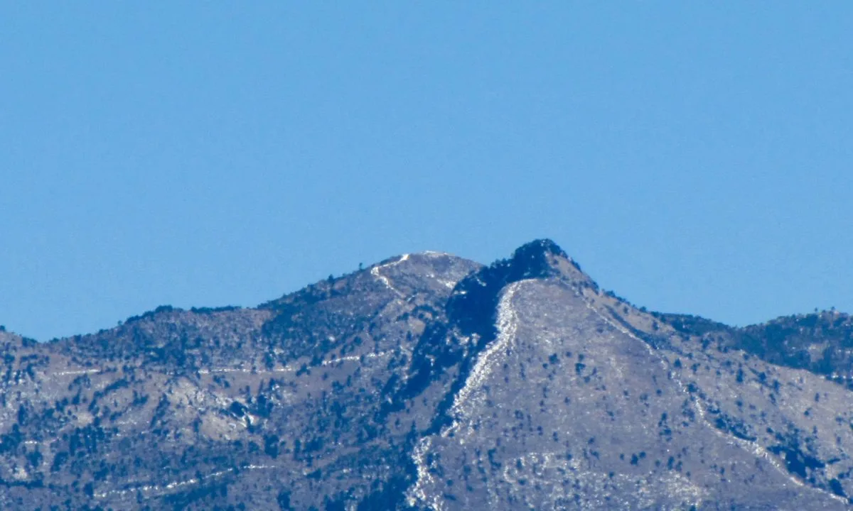 Imagen de portada de «Reforestación Ajusco 3900 msnm: Únete a la solución este 28 de julio».