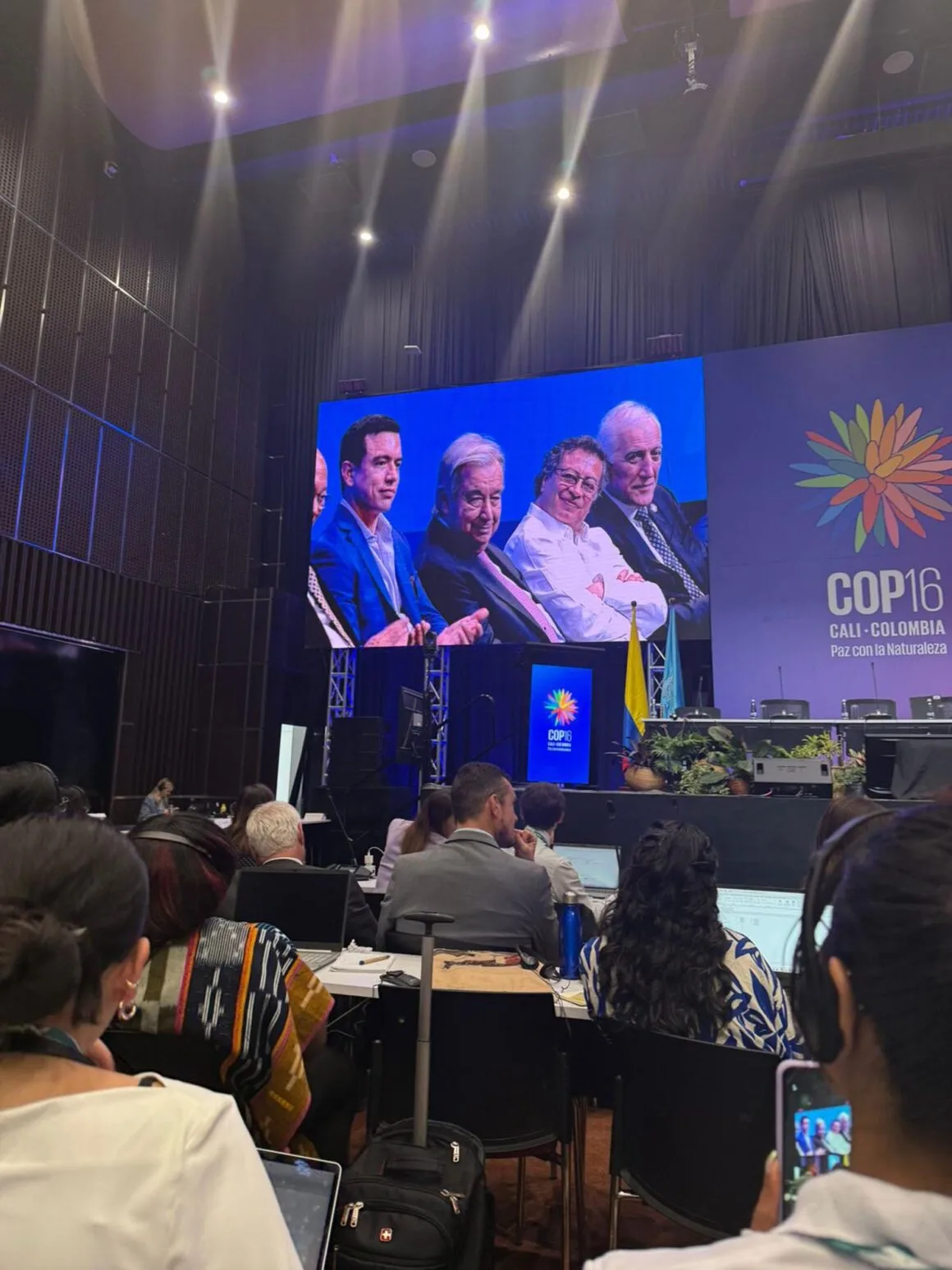 Imagen del archivo de «La COP16 en Cali: Un llamado urgente para la protección de la biodiversidad».
