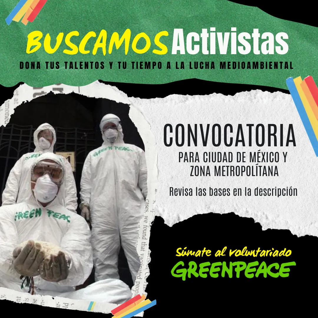 Imagen del archivo de «¡Escaladores! Greenpeace busca activistas - convocatoria abierta».