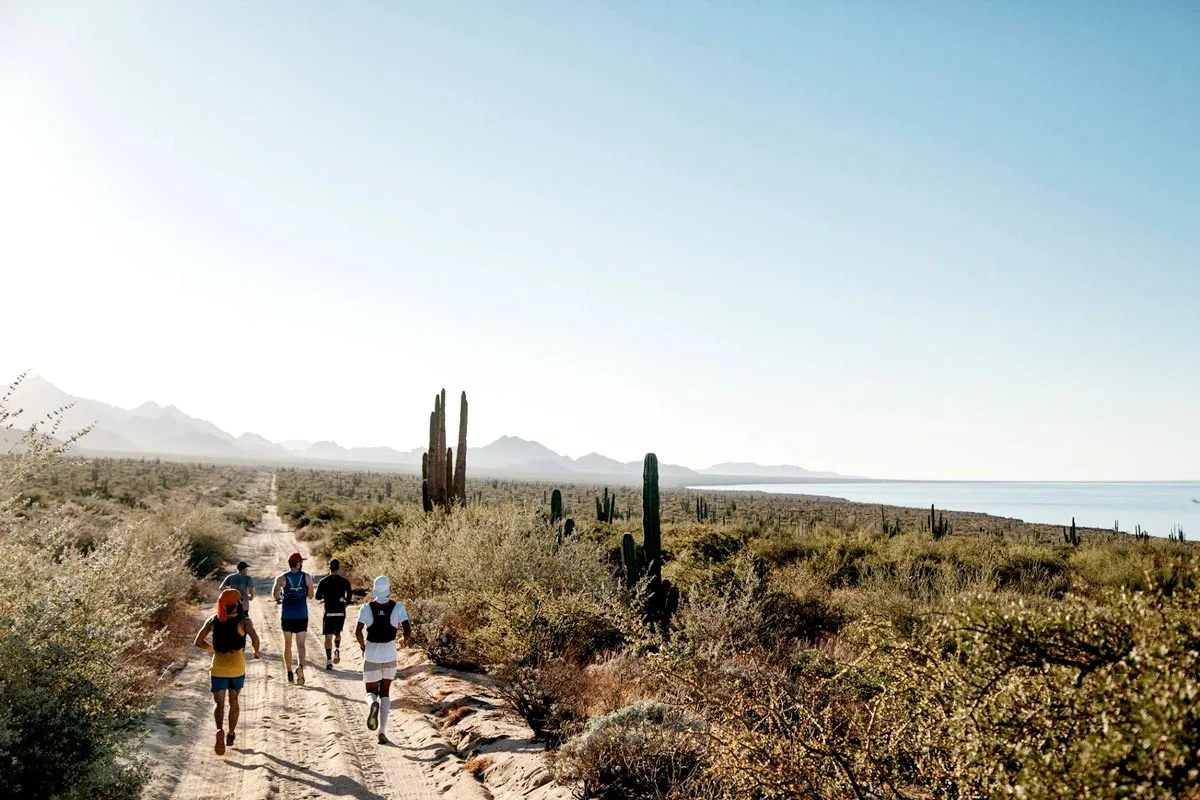 Imagen de portada de «Aire Libre: correr y explorar en el sentido más puro».