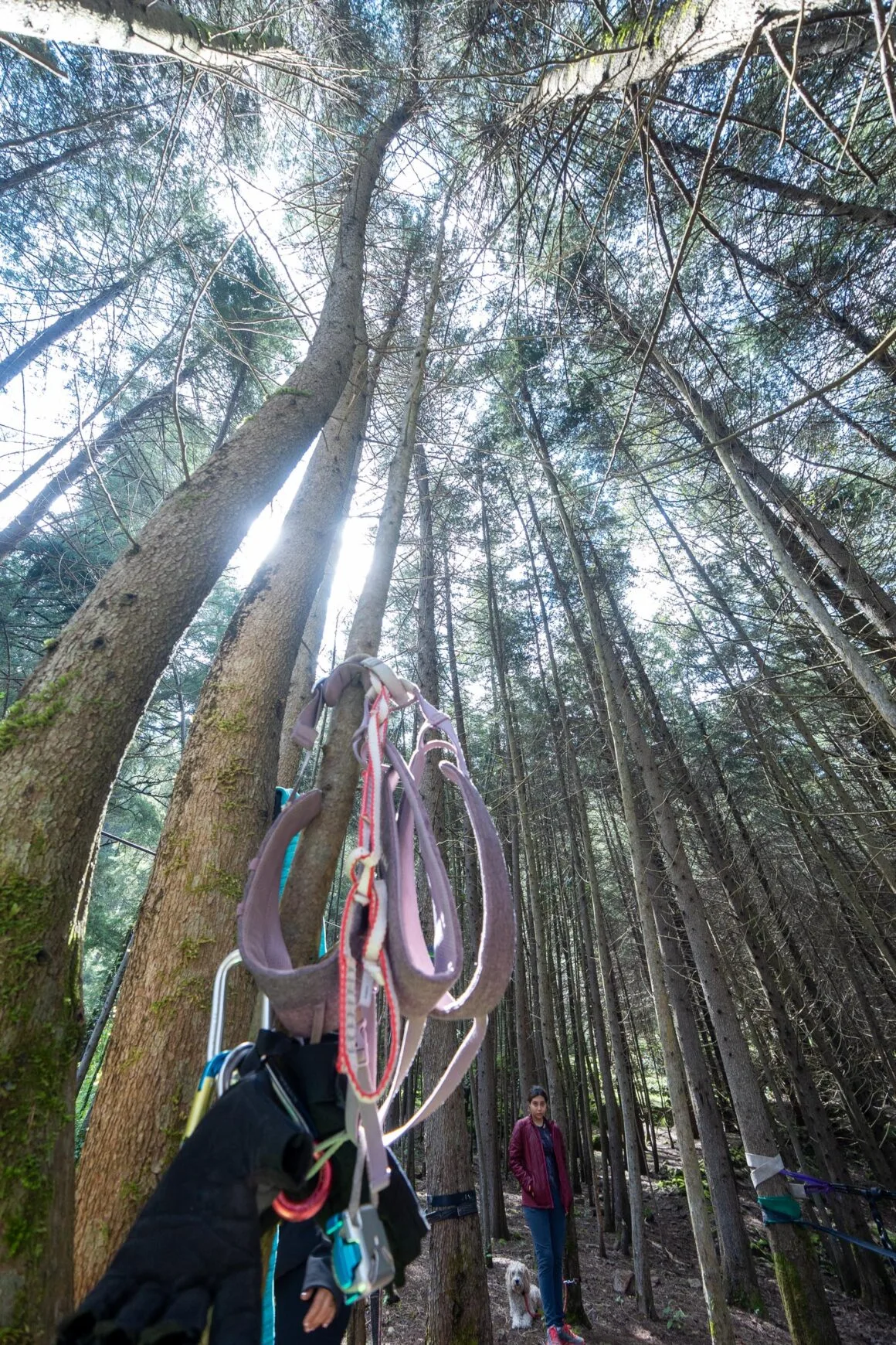Imagen del archivo de «"Friluftsliv": la filosofía escandinava de conectar con la naturaleza».