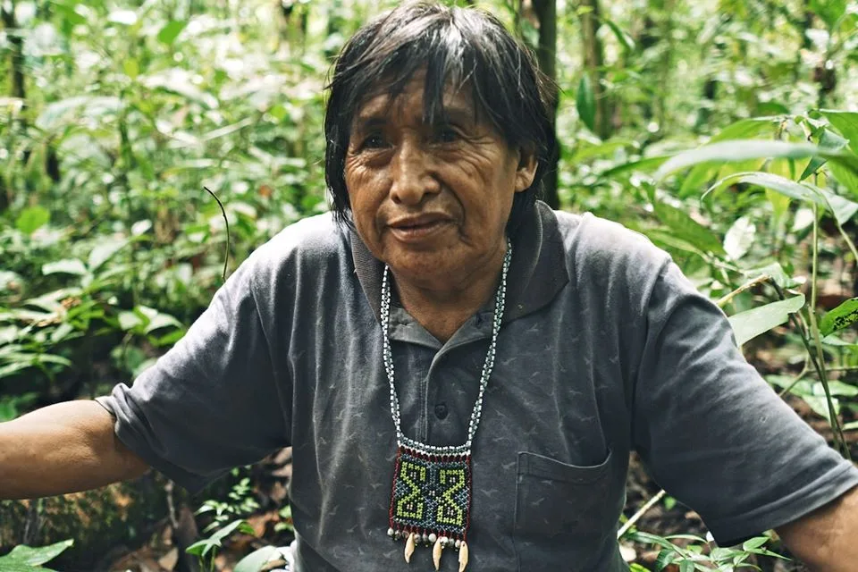 Imagen del archivo de «Pacha Kuti: The Golden Path, documental de Reed Rickert que rinde homenaje a la Tierra».