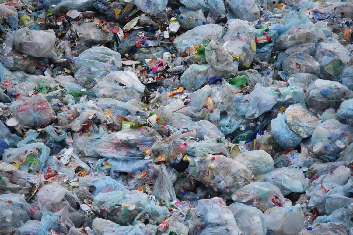 Imagen del archivo de «10 consejos para ser eco-friendly desde casa en tiempos de COVID-19».