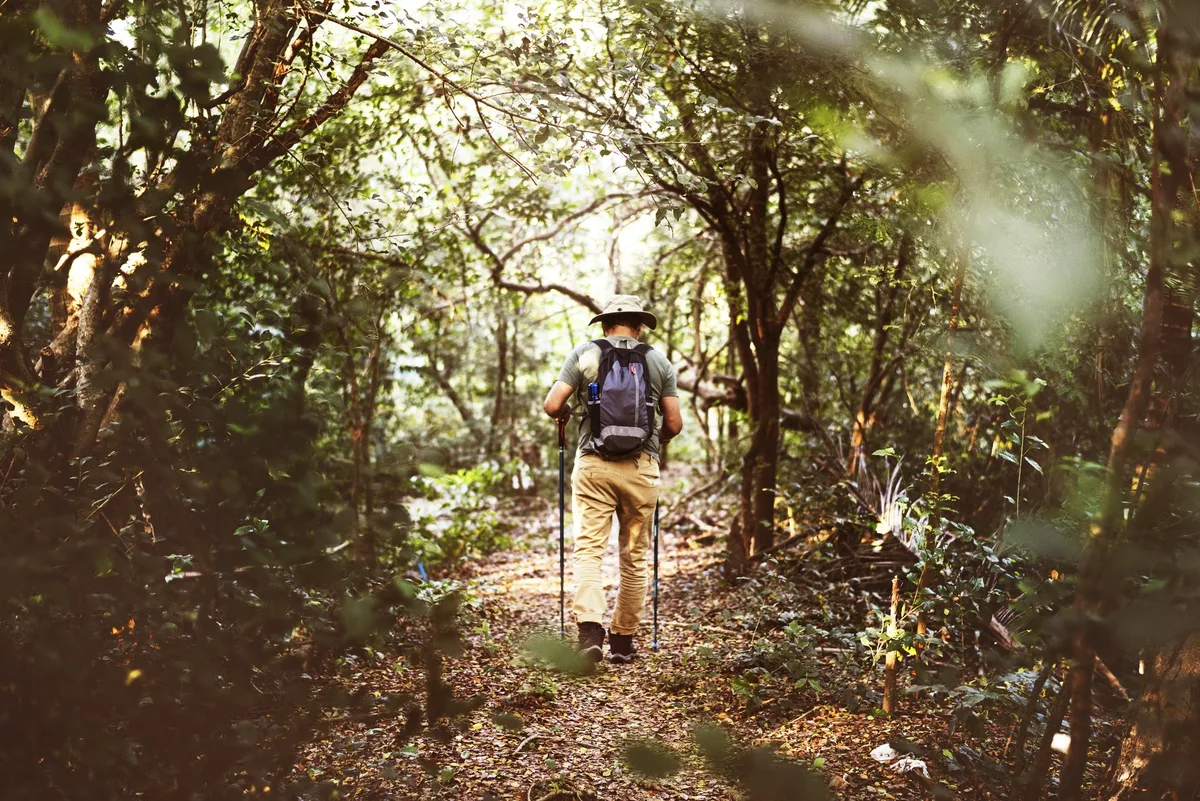 A man walking in the forest