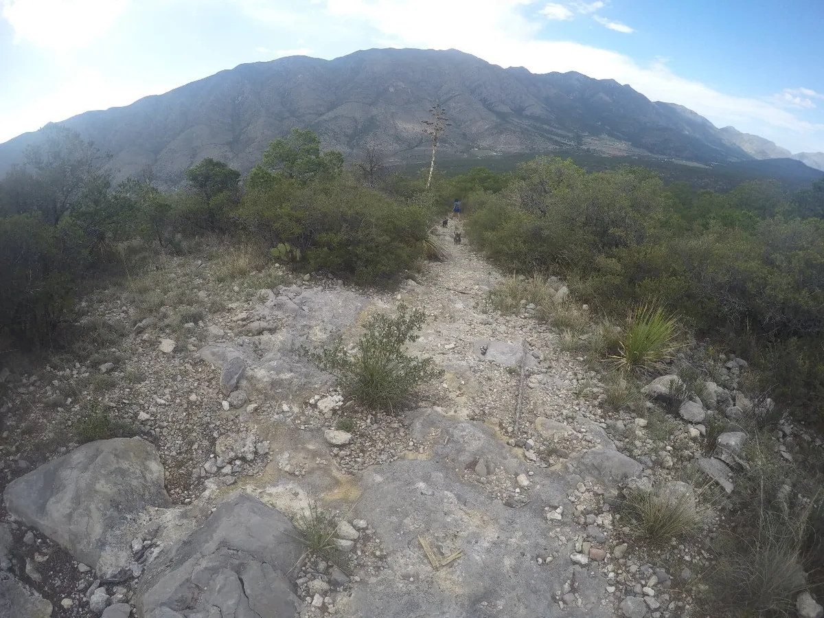 Imagen del archivo de «¿Quién impondrá un nuevo FKT en Arteaga? Llega Las Nieves Mountain Race».