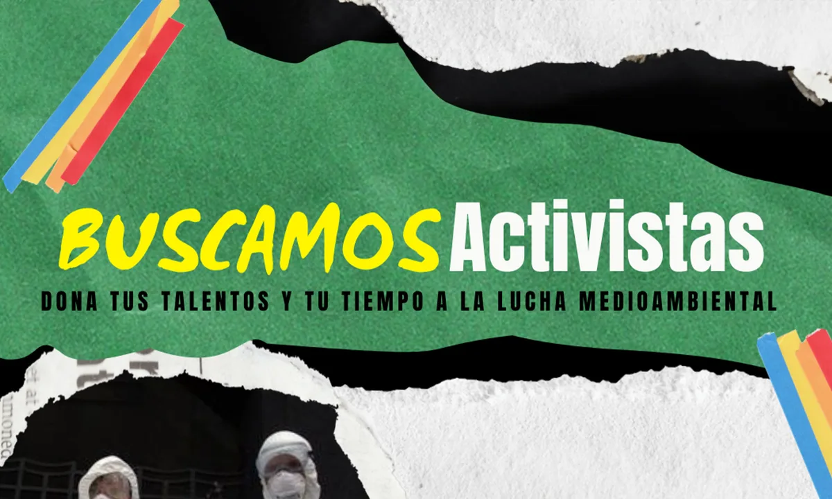 Imagen de portada de «¡Escaladores! Greenpeace busca activistas - convocatoria abierta».