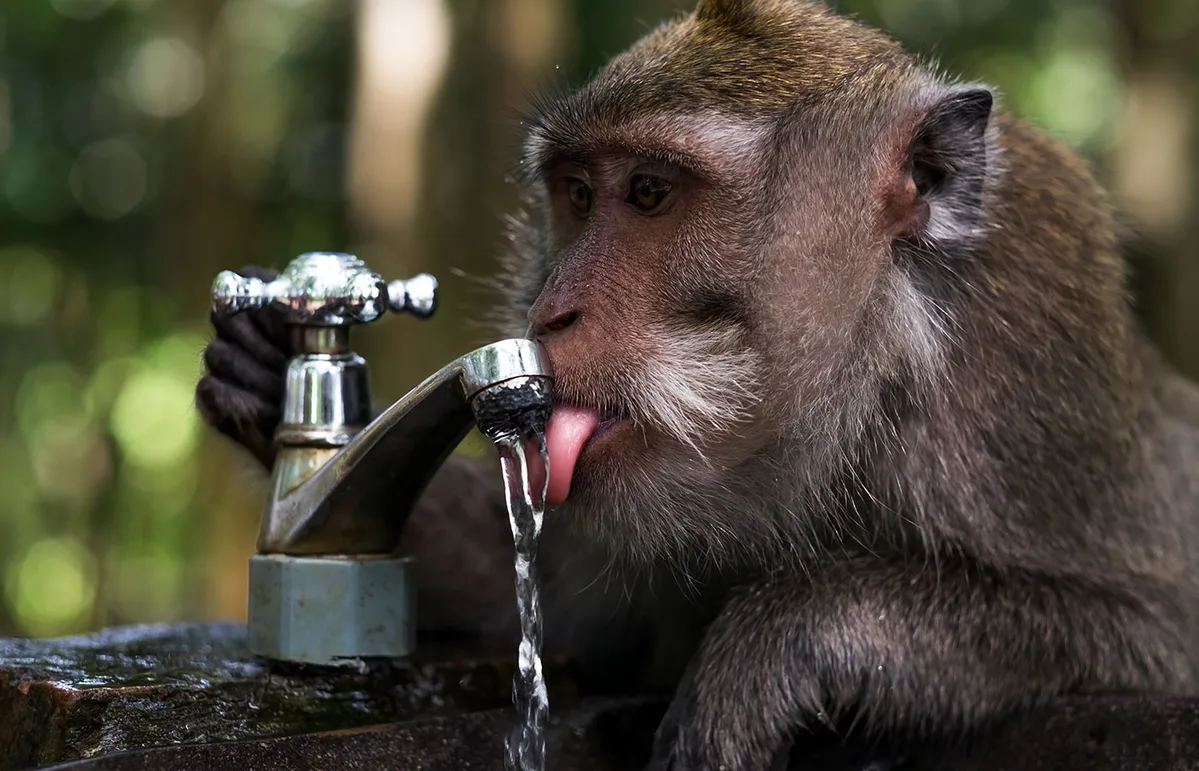 Imagen de portada de «Purificar agua en la montaña y en la vida: un acto de supervivencia y sustentabilidad».