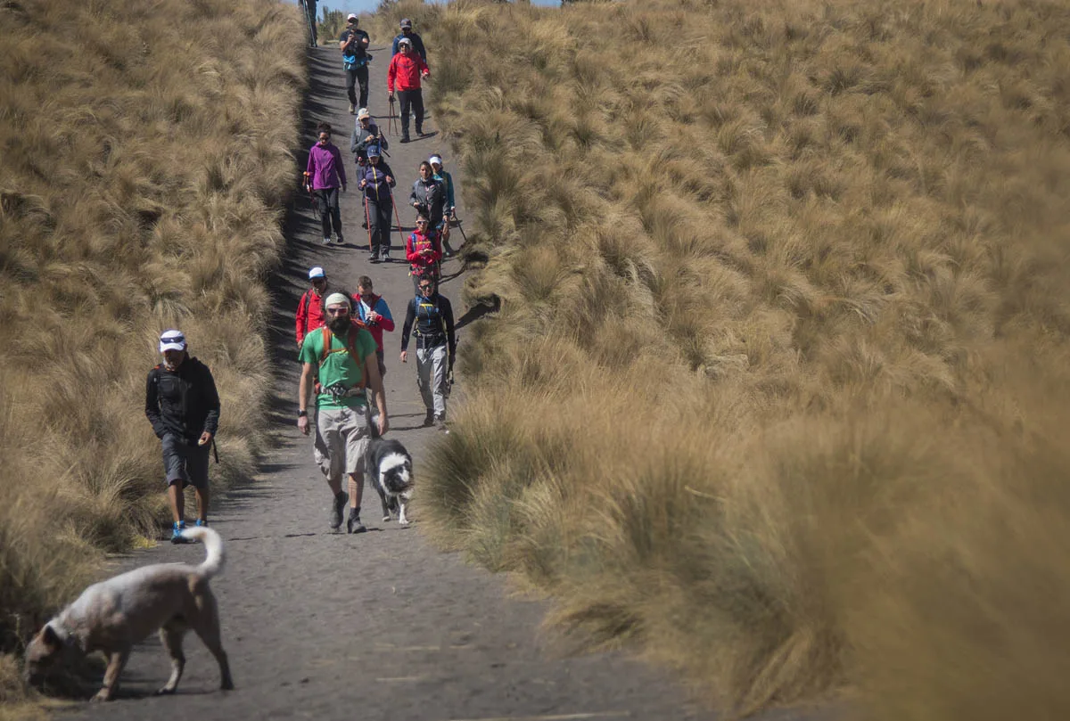 Imagen del archivo de «SalomonTV 2018: a 20 años del récord de Ricardo Mejía en el Iztaccíhuatl».