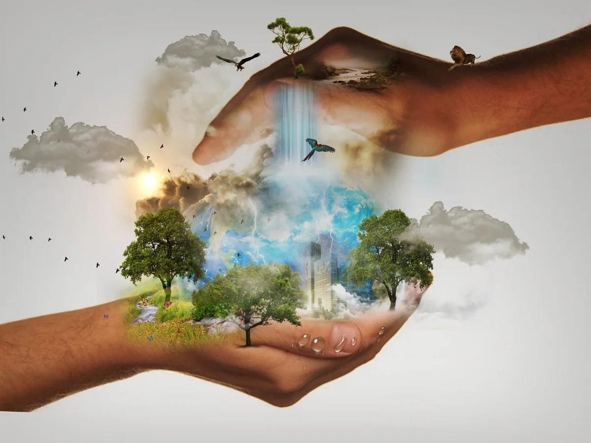 Imagen de portada de «Outdoors 2019: 12 propósitos ambientales fundamentales».