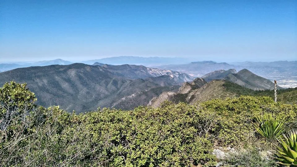 Imagen de portada de «1era Confraternidad Montañista el Penitente: Reforestación en Arteaga».