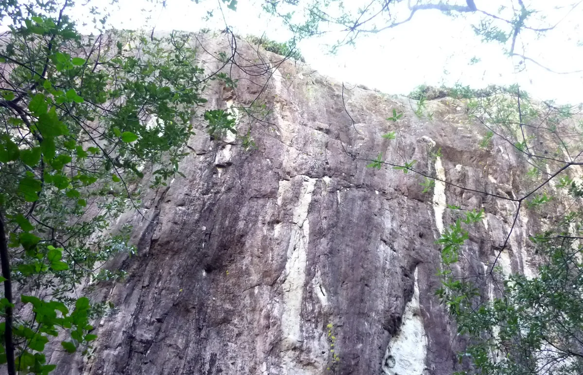 Imagen de portada de «Importante: Cierra temporalmente zona de escalada "La Meca" en Oaxaca».
