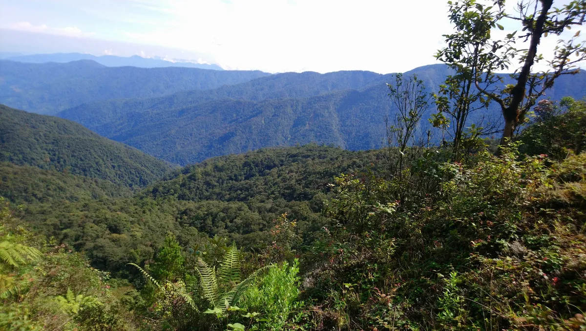 Imagen del archivo de «Top 15 de lugares para correr Trail en México, por Santiago Carsolio».