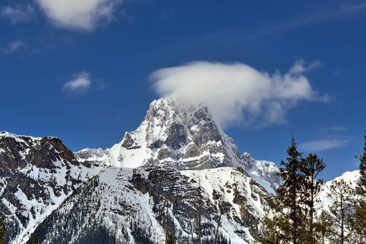 Imagen de portada de «Lograron cumbre: David Lama, Hansjorg Auer y Jess Roskelly».