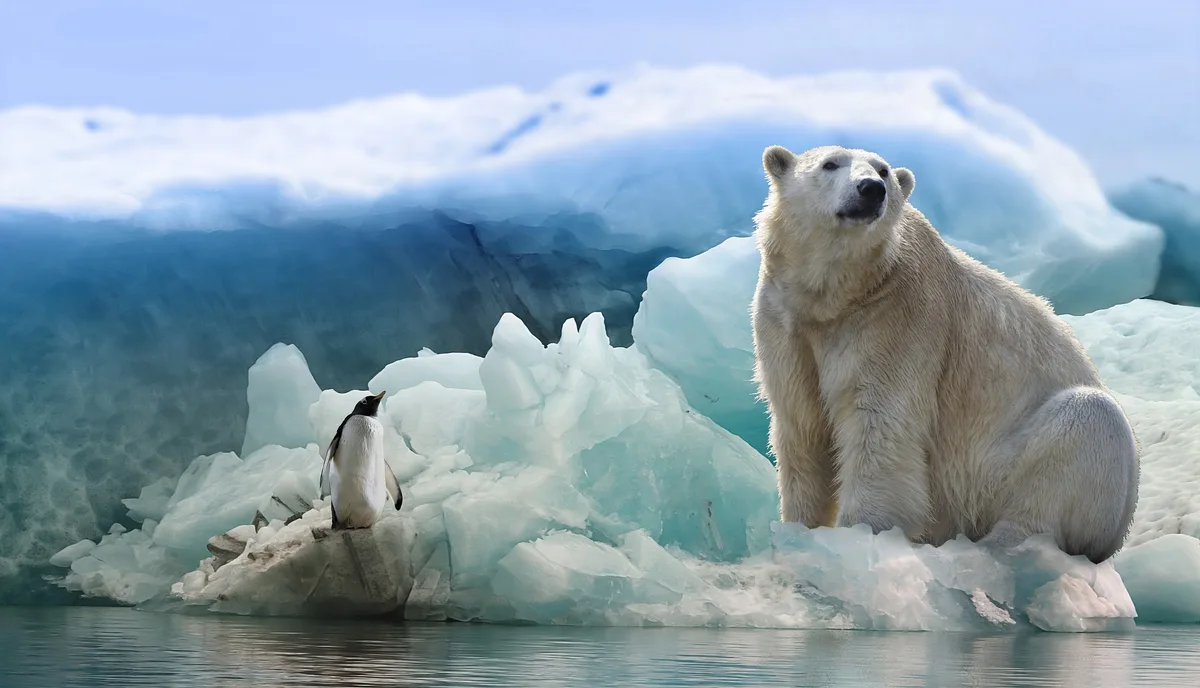 Imagen de portada de «Charla "la vida después de la antártica", con Ximena Aguilar».