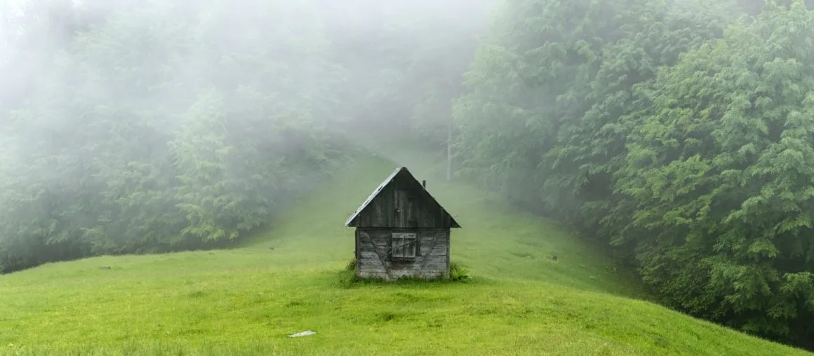 Alone cabin in the woods