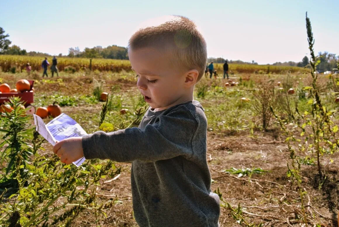 Imagen del archivo de «"Las manzanas nacen en el súper": ¿por qué los niños deben aprender a cultivar?».