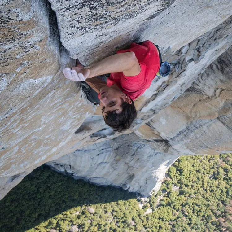 Imagen de portada de «Free Solo: nominada al Óscar como Mejor Documental».